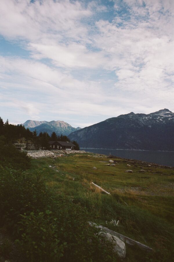 Kodak Gold 200